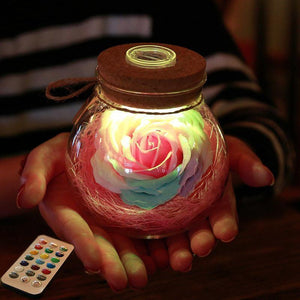 LED Rose Bottle Lamp 1